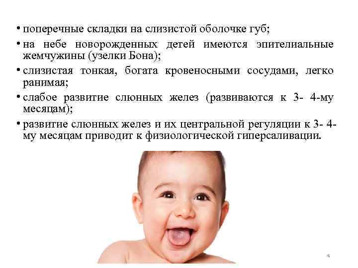  • поперечные складки на слизистой оболочке губ; • на небе новорожденных детей имеются