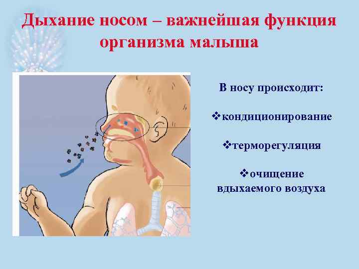 Дыхание носом – важнейшая функция организма малыша В носу происходит: vкондиционирование vтерморегуляция vочищение вдыхаемого