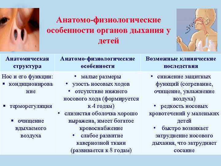 Анатомо-физиологические особенности органов дыхания у детей Анатомическая структура Анатомо-физиологические особенности • малые размеры •