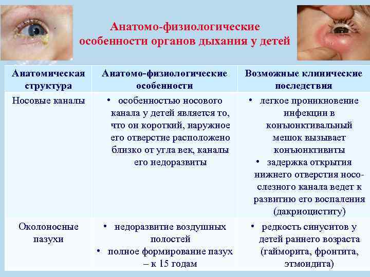 Анатомо-физиологические особенности органов дыхания у детей Анатомическая структура Носовые каналы Околоносные пазухи Анатомо-физиологические особенности