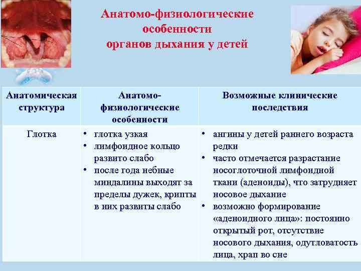 Анатомо-физиологические особенности органов дыхания у детей Анатомическая структура Глотка Анатомо. Возможные клинические физиологические последствия