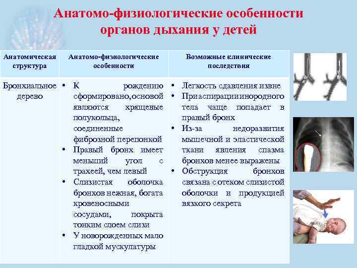 Анатомо-физиологические особенности органов дыхания у детей Анатомическая структура Анатомо-физиологические особенности Бронхиальное • К рождению