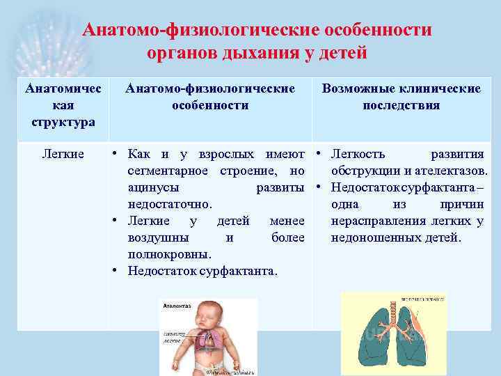 Анатомо-физиологические особенности органов дыхания у детей Анатомичес кая структура Легкие Анатомо-физиологические особенности Возможные клинические