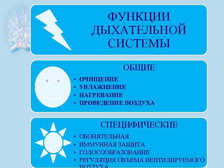ФУНКЦИИ ДЫХАТЕЛЬНОЙ СИСТЕМЫ ОБЩИЕ • • ОЧИЩЕНИЕ УВЛАЖНЕНИЕ НАГРЕВАНИЕ ПРОВЕДЕНИЕ ВОЗДУХА СПЕЦИФИЧЕСКИЕ • •