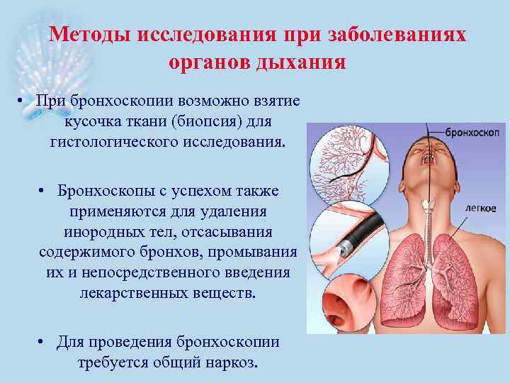 Методы исследования при заболеваниях органов дыхания • При бронхоскопии возможно взятие кусочка ткани (биопсия)