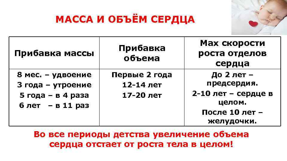 МАССА И ОБЪЁМ СЕРДЦА Прибавка массы 8 мес. – удвоение 3 года – утроение