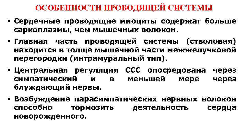  ОСОБЕННОСТИ ПРОВОДЯЩЕЙ СИСТЕМЫ § Сердечные проводящие миоциты содержат больше саркоплазмы, чем мышечных волокон.