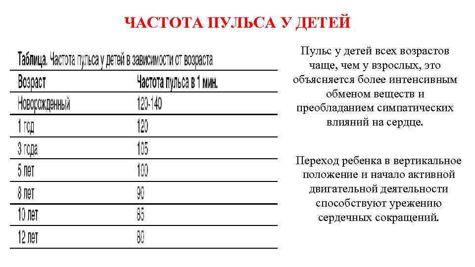 ЧАСТОТА ПУЛЬСА У ДЕТЕЙ Пульс у детей всех возрастов чаще, чем у взрослых, это