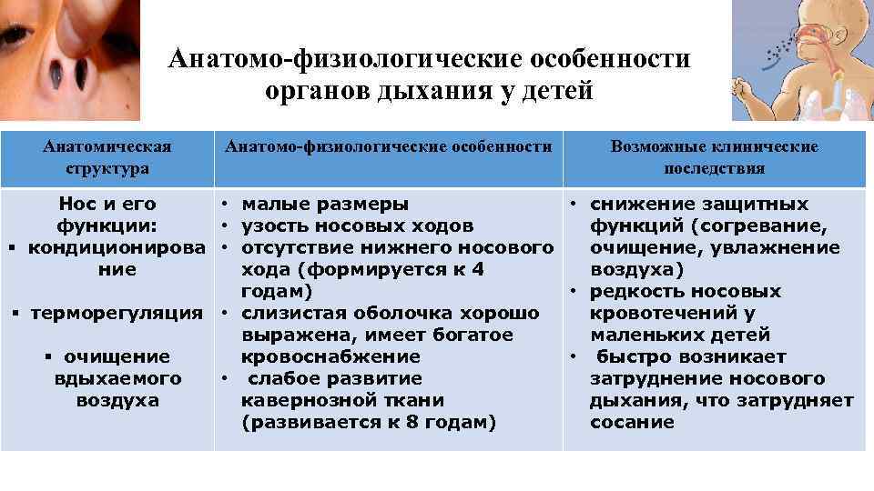 Анатомо-физиологические особенности органов дыхания у детей Анатомическая структура Анатомо-физиологические особенности Возможные клинические последствия Нос