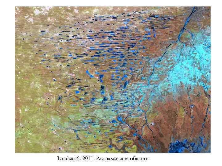 Landsat-5. 2011. Астраханская область 