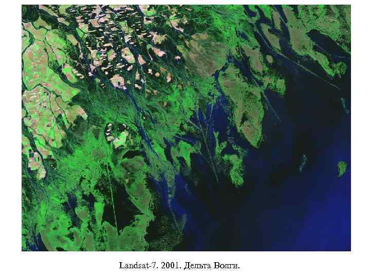 Landsat-7. 2001. Дельта Волги. 