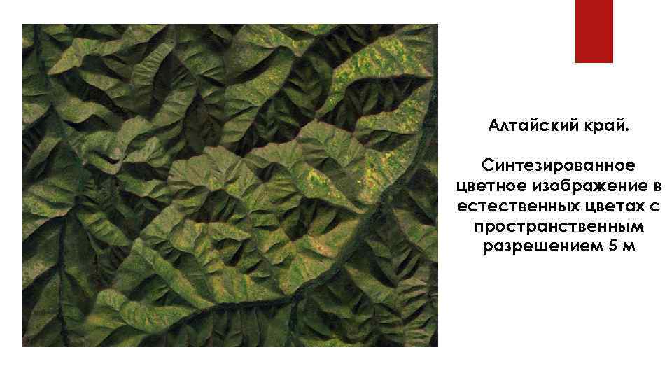 Алтайский край. Синтезированное цветное изображение в естественных цветах с пространственным разрешением 5 м 