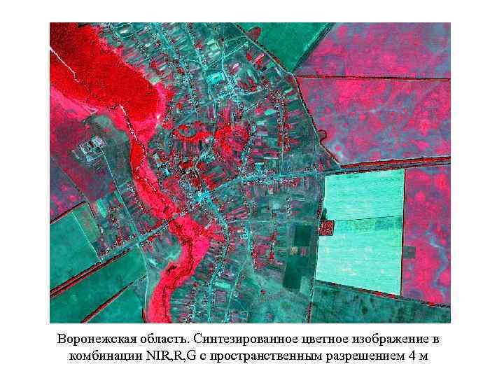Воронежская область. Синтезированное цветное изображение в комбинации NIR, R, G с пространственным разрешением 4