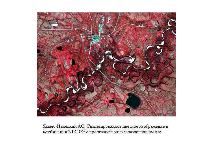 Ямало-Ненецкий АО. Синтезированное цветное изображение в комбинации NIR, R, G с пространственным разрешением 6