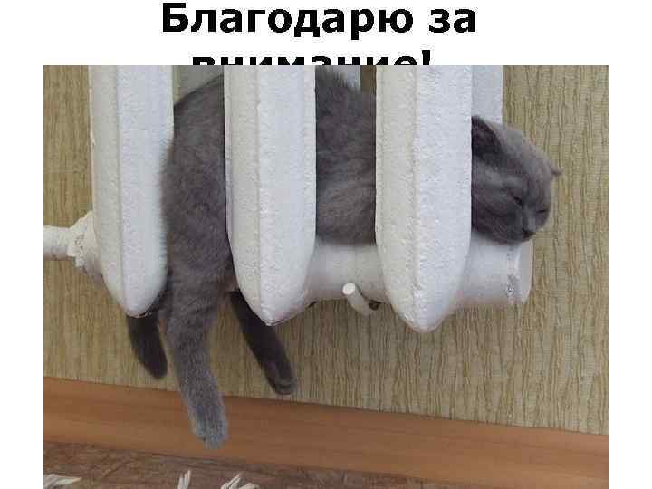 Благодарю за внимание! 