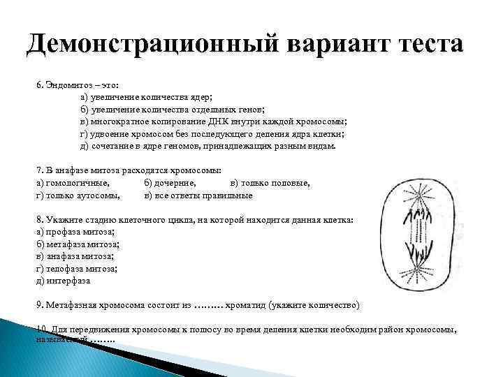 Демонстрационный вариант теста 6. Эндомитоз – это: а) увеличение количества ядер; б) увеличение количества