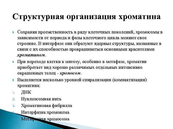 Структурная организация хроматина 1. 2. 3. 4. 5. Сохраняя преемственность в ряду клеточных поколений,