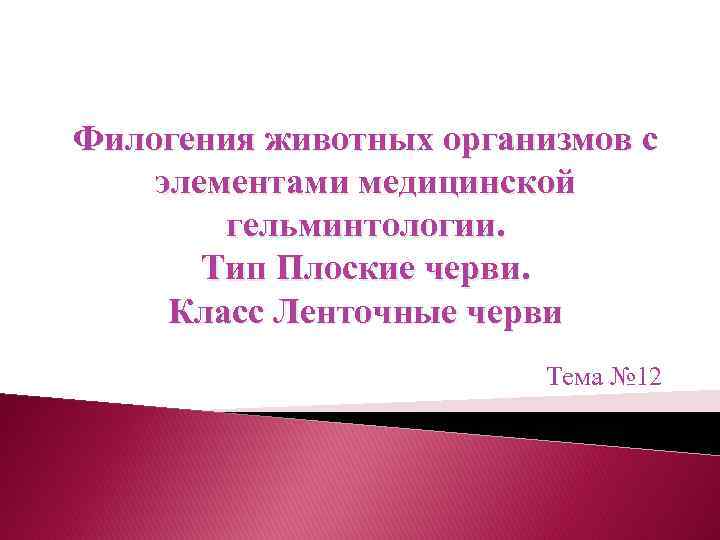 Филогения животных организмов с элементами медицинской гельминтологии. Тип Плоские черви. Класс Ленточные черви Тема