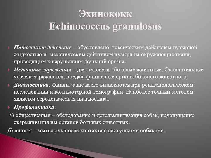 Эхинококк Echinococcus granulosus Патогенное действие – обусловлено токсическим действием пузырной жидкостью и механическим действием