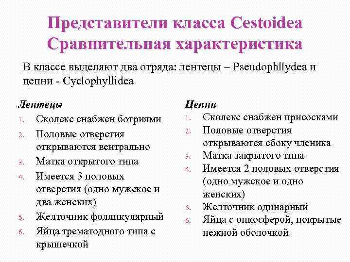 Представители класса Cestoidea Сравнительная характеристика В классе выделяют два отряда: лентецы – Pseudophllydea и