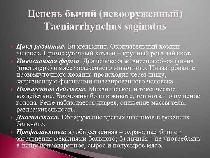 Цепень бычий (невооруженный) Taeniarrhynchus saginatus Цикл развития. Биогельминт. Окончательный хозяин – человек. Промежуточный хозяин