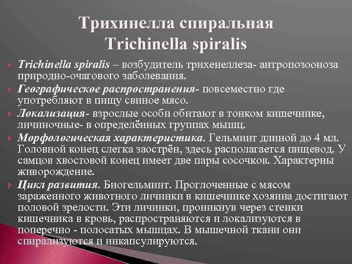 Трихинелла спиральная Trichinella spiralis – возбудитель трихенеллеза- антропозооноза природно-очагового заболевания. Географическое распространения- повсеместно где