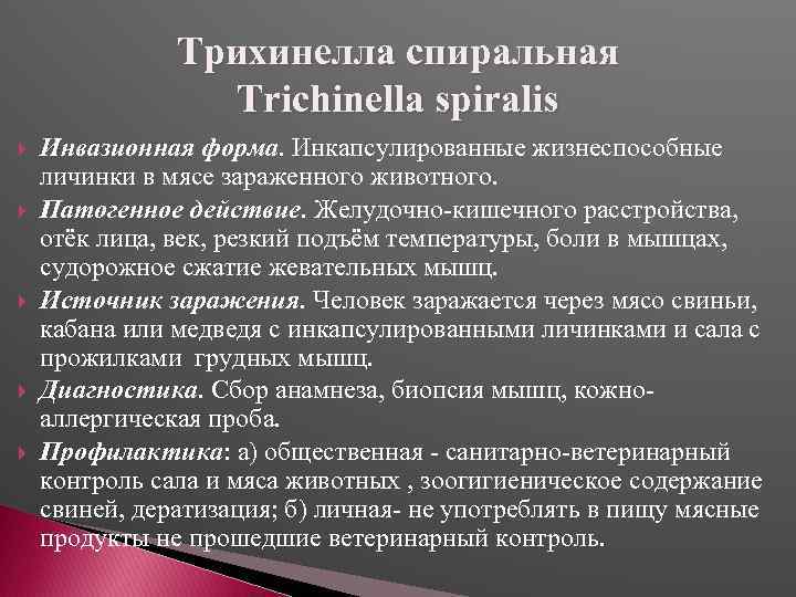 Трихинелла спиральная Trichinella spiralis Инвазионная форма. Инкапсулированные жизнеспособные личинки в мясе зараженного животного. Патогенное