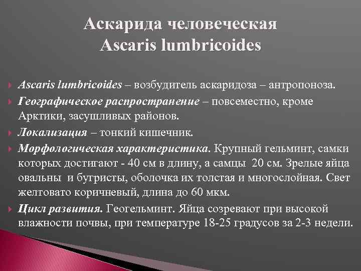 Аскарида человеческая Ascaris lumbricoides – возбудитель аскаридоза – антропоноза. Географическое распространение – повсеместно, кроме
