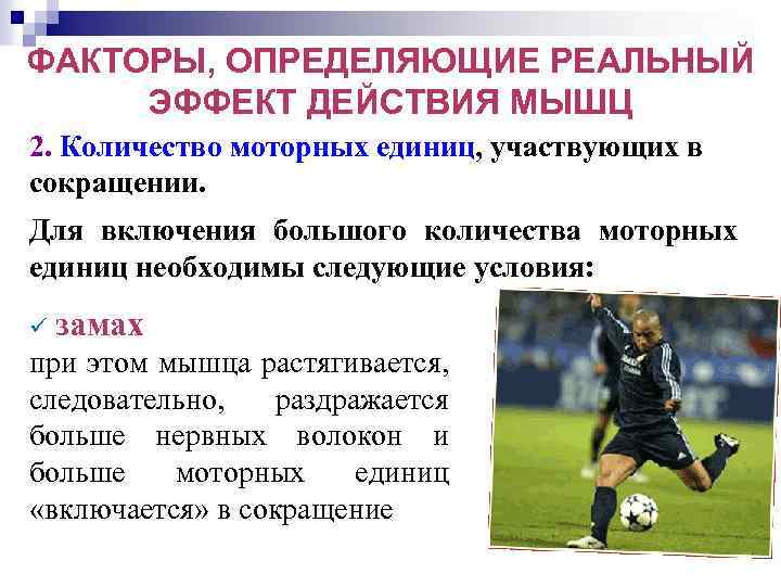 ФАКТОРЫ, ОПРЕДЕЛЯЮЩИЕ РЕАЛЬНЫЙ ЭФФЕКТ ДЕЙСТВИЯ МЫШЦ 2. Количество моторных единиц, участвующих в сокращении. Для