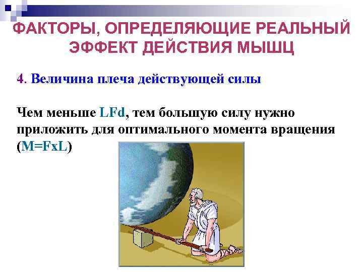 ФАКТОРЫ, ОПРЕДЕЛЯЮЩИЕ РЕАЛЬНЫЙ ЭФФЕКТ ДЕЙСТВИЯ МЫШЦ 4. Величина плеча действующей силы Чем меньше LFd,