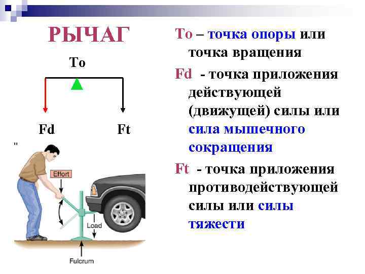 РЫЧАГ То Fd Ft То – точка опоры или точка вращения Fd - точка
