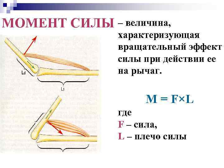 Момент силы величина. Момент силы биомеханика. Плечо силы в биомеханике. Момент силы мышцы. Плечо силы и момент силы в биомеханике.