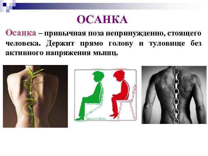 ОСАНКА Осанка – привычная поза непринужденно, стоящего человека. Держит прямо голову и туловище без