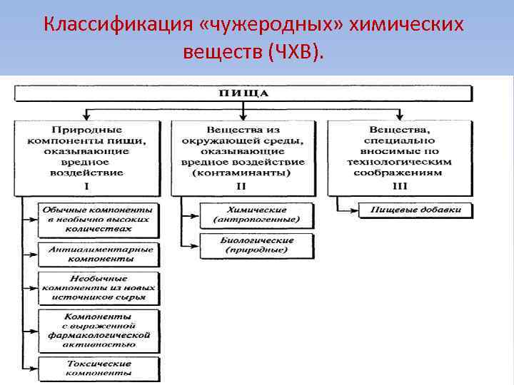 Классификация «чужеродных» химических веществ (ЧХВ). 