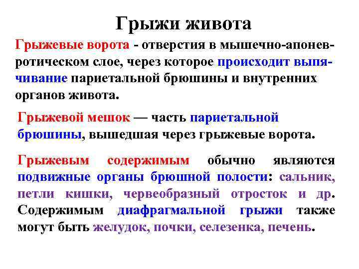 Грыжи живота Грыжевые ворота - отверстия в мышечно-апоневротическом слое, через которое происходит выпячивание париетальной