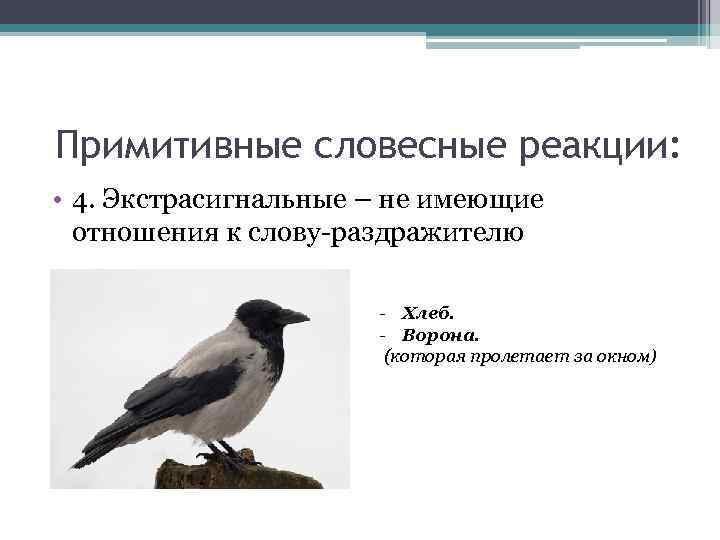 Примитивные словесные реакции: • 4. Экстрасигнальные – не имеющие отношения к слову-раздражителю - Хлеб.