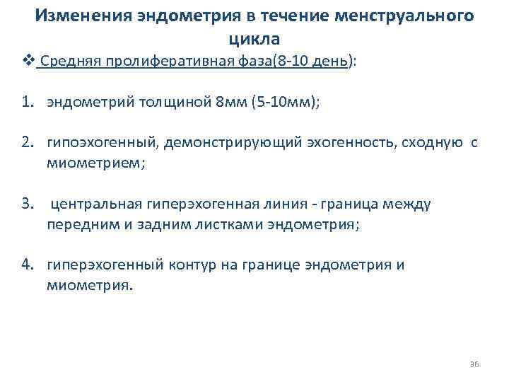 Изменения эндометрия в течение менструального цикла v Средняя пролиферативная фаза(8 -10 день): 1. эндометрий
