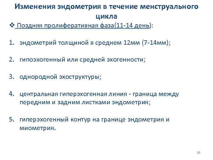Изменения эндометрия в течение менструального цикла v Поздняя пролиферативная фаза(11 -14 день): 1. эндометрий