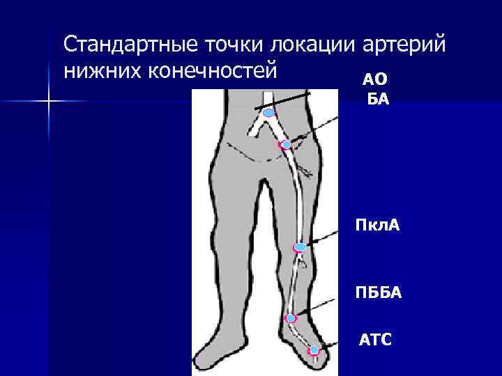 Стандартные точки локации артерий нижних конечностей АО БА Пкл. А ПББА АТС 