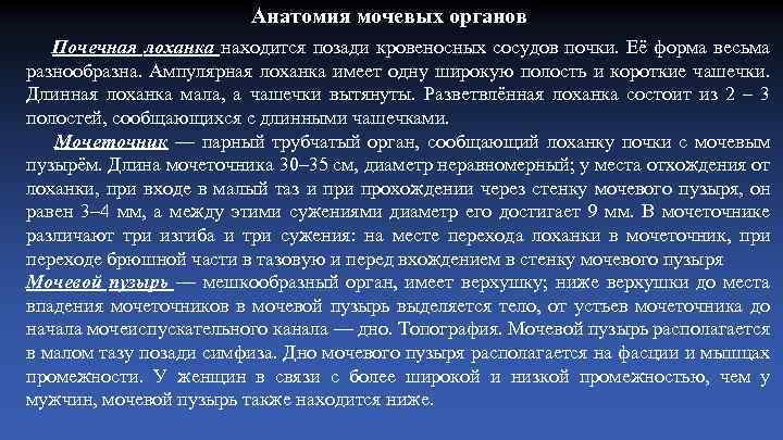 Анатомия мочевых органов Почечная лоханка находится позади кровеносных сосудов почки. Её форма весьма разнообразна.