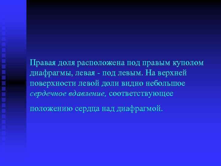 Правая доля расположена под правым куполом диафрагмы, левая под левым. На верхней поверхности левой