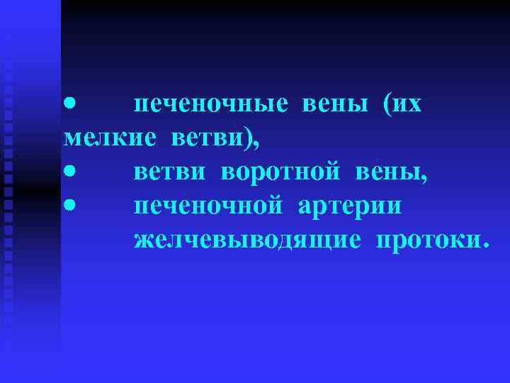 · печеночные вены (их мелкие ветви), · ветви воротной вены, · печеночной артерии желчевыводящие