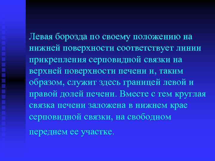 Левая борозда по своему положению на нижней поверхности соответствует линии прикрепления серповидной связки на