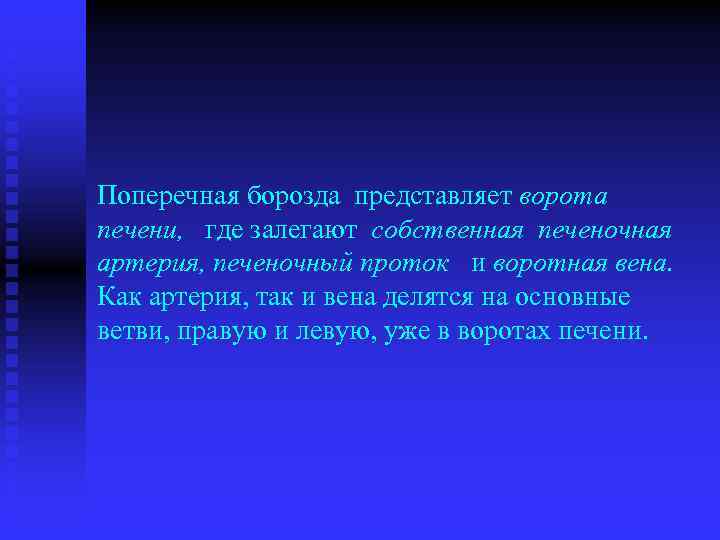 Поперечная борозда представляет ворота печени, где залегают собственная печеночная артерия, печеночный проток и воротная