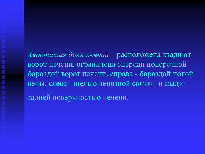 Хвостатая доля печени расположена кзади от ворот печени, ограничена спереди поперечной бороздой ворот печени,