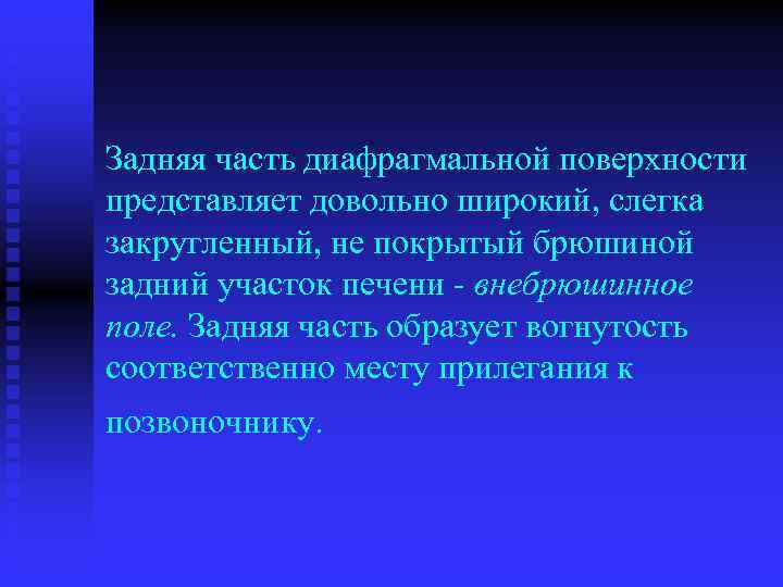 Задняя часть диафрагмальной поверхности представляет довольно широкий, слегка закругленный, не покрытый брюшиной задний участок