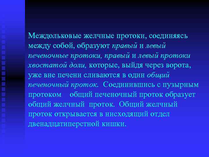 Междольковые желчные протоки, соединяясь между собой, образуют правый и левый печеночные протоки, правый и