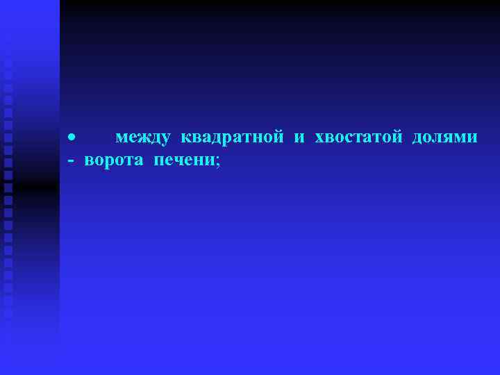 · между квадратной и хвостатой долями - ворота печени; 