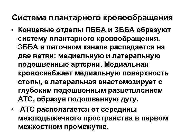 Система плантарного кровообращения • Концевые отделы ПББА и ЗББА образуют систему плантарного кровообращения. ЗББА