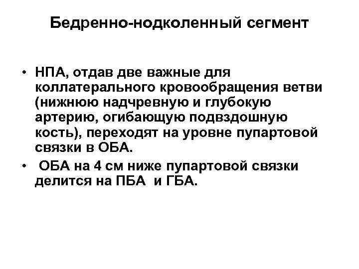 Бедренно-нодколенный сегмент • НПА, отдав две важные для коллатерального кровообращения ветви (нижнюю надчревную и